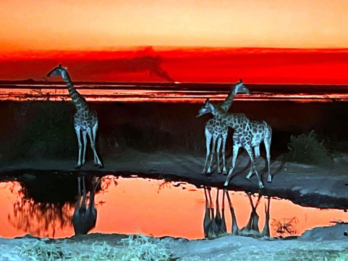 Готель Mwandi View Kavimba Екстер'єр фото